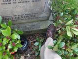 image of grave number 445242